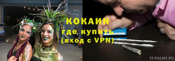 твердый Алзамай